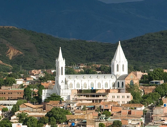 cucuta copy